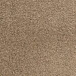 Walking Trail - Pacific Grove