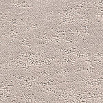 Curiosity - Phenomena