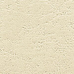 Celebration - Phenomena