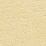 Distinguished - Phenomena