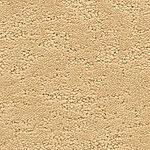 Illusion - Phenomena