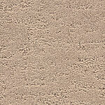 Experiences - Phenomena