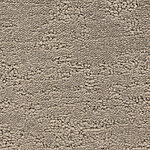 Happening - Phenomena