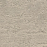 Sensation - Phenomena