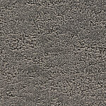 Occurrence - Phenomena