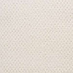 Atrium - Power Point