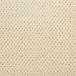 Custard - Power Point