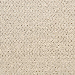 Dry Chamois - Power Point