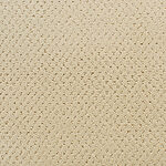 Decorative - Power Point