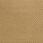 Megellan - Power Point