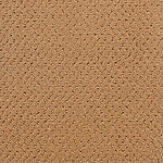 Buckeye - Power Point