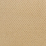 Spiced Curry - Power Point