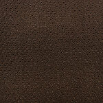 Fossil - Power Point