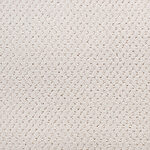 Vanilla - Power Point