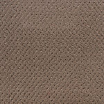 Almond Mist - Power Point