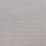 Silver Wood - Power Point