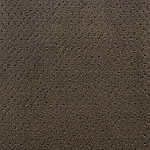 Ground Coffee - Power Point