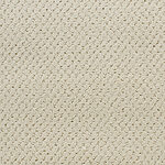 Barely Green - Power Point