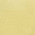 Daylilly - Power Point