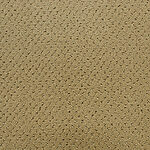 Willow Wood - Power Point