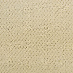 Golden Rae - Power Point