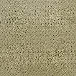 Ivy Cottage - Power Point