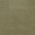 Hanging Garden - Power Point