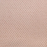 In Bloom - Power Point