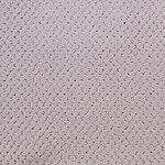 Violetta - Power Point