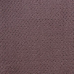 Serenade - Power Point