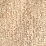 Shooting Star - Radiance