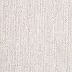 Polished Silver - Radiance