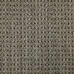 Buffel Grass - Savanna Weave