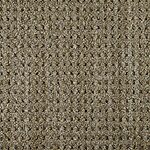 Chaparral - Savanna Weave