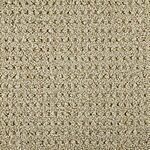 Forb - Savanna Weave