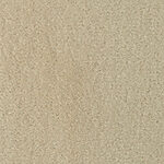 Sand Dollar - Seduction