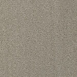 Stepping Stone - Seduction