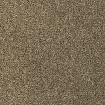 Chinchilla - Seduction