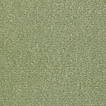 Misty Meadow - Seduction