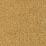 Torchlight - Seduction