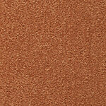 Saddle Brown - Seduction