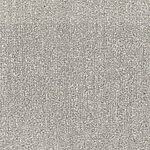 December Day - Tundra