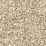 Ginger Root - Tundra