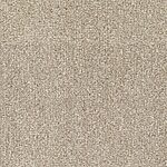 Toasted Graham - Tundra