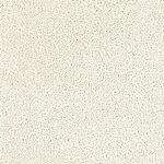 La Rochelle - Tribute