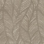 Antiquity - Festival