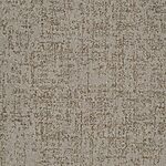 Drama - Hollywood Nights