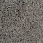 Evening - Hollywood Nights