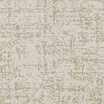 Shoreline - Hollywood Nights