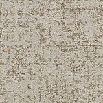 West Coast - Hollywood Nights